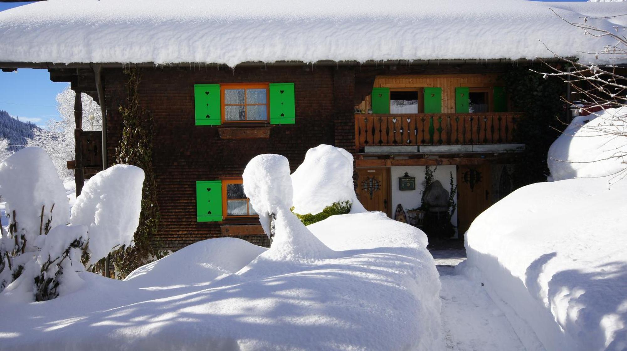 Apartment Haus Aelpele *