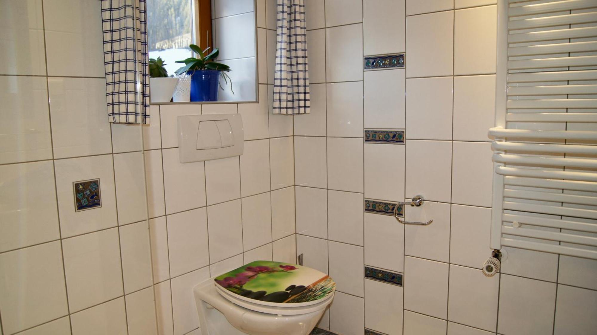 Haus Aelpele Apartment *